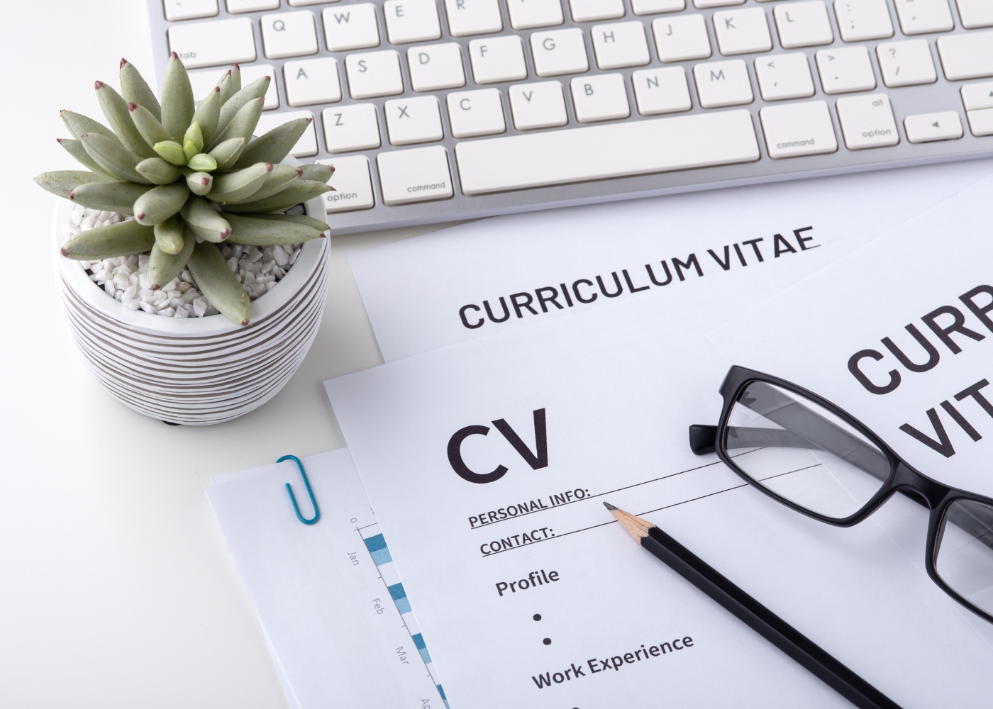 Modelos de Curriculum Vitae: Exemplos, Dicas e Recursos