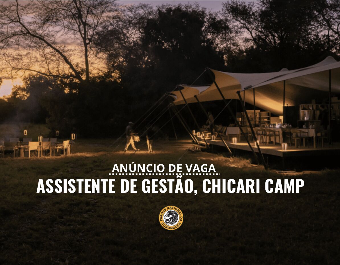 Vaga – Assistente do Gerente – Parque Nacional da Gorongosa 