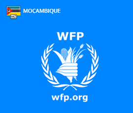 World Food Programme Moçambique