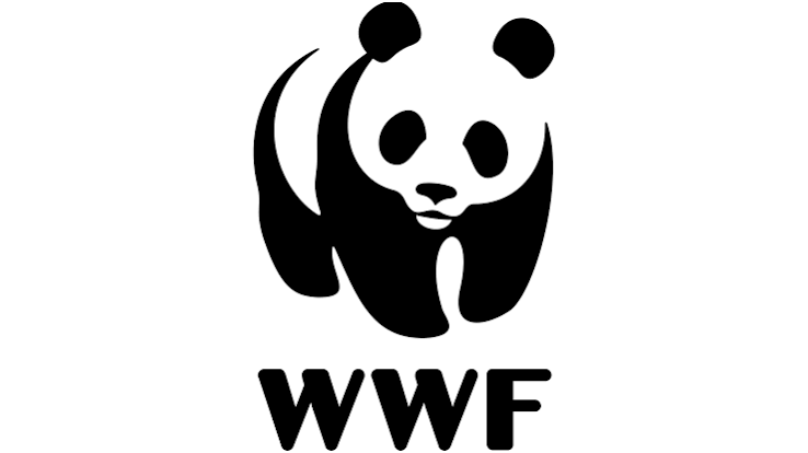 A WWF está a recrutar um Oficial de Finanças de Projectos, para Maputo, em Moçambique.